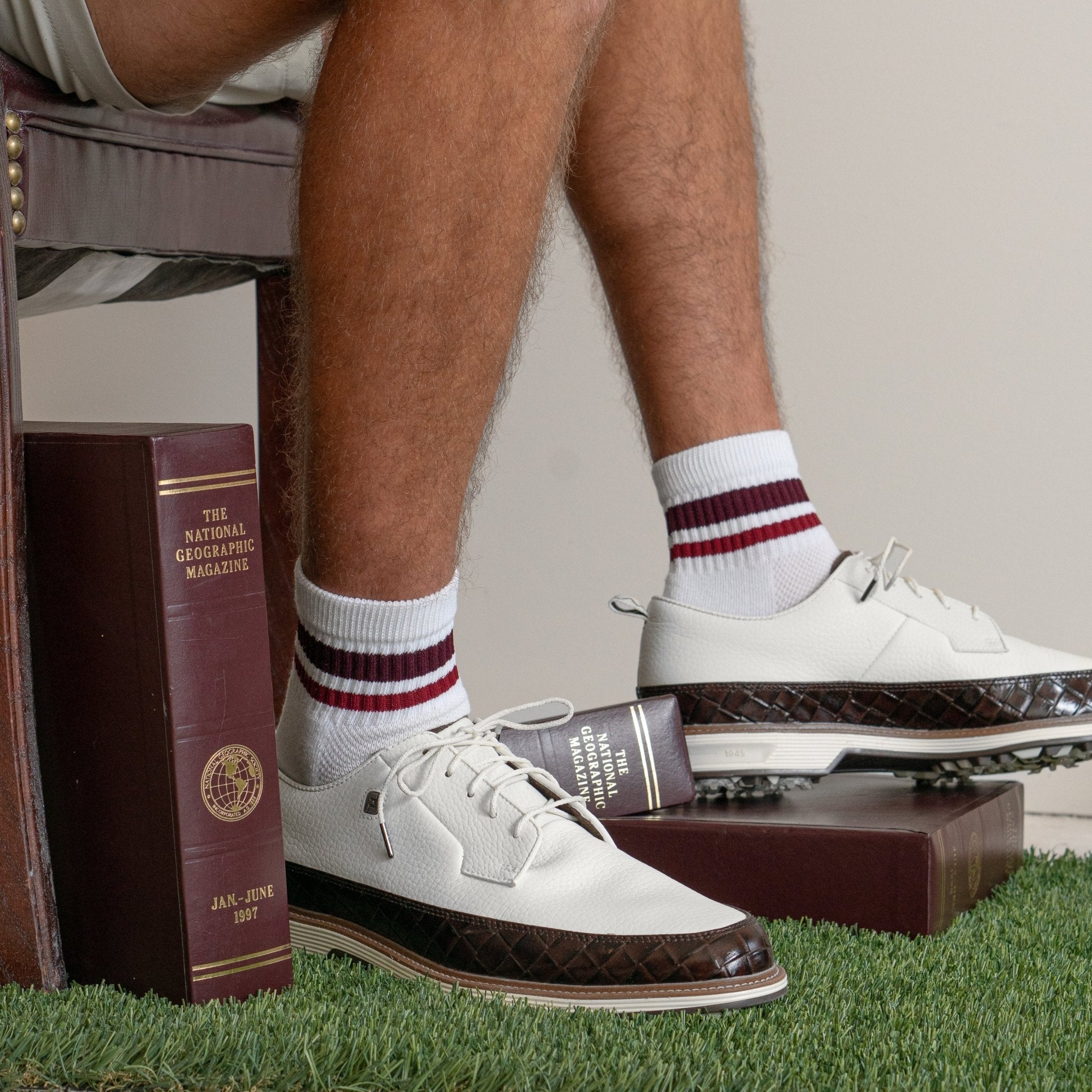 Burgundy Stripes - del campo