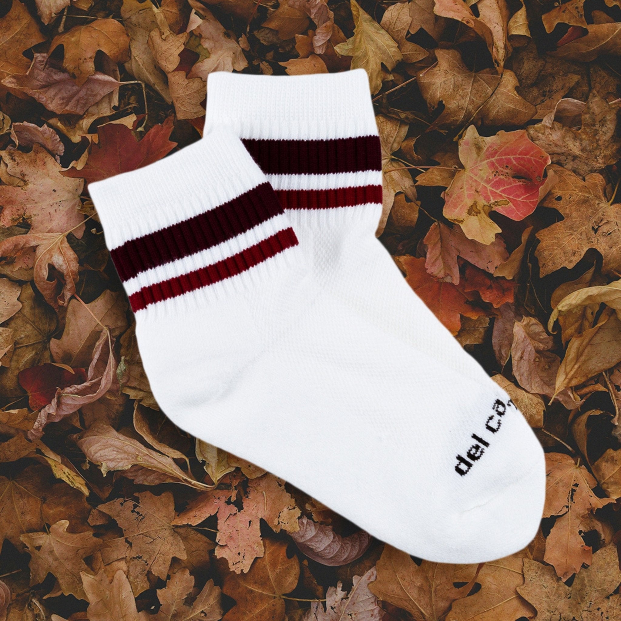 Burgundy Stripes - del campo