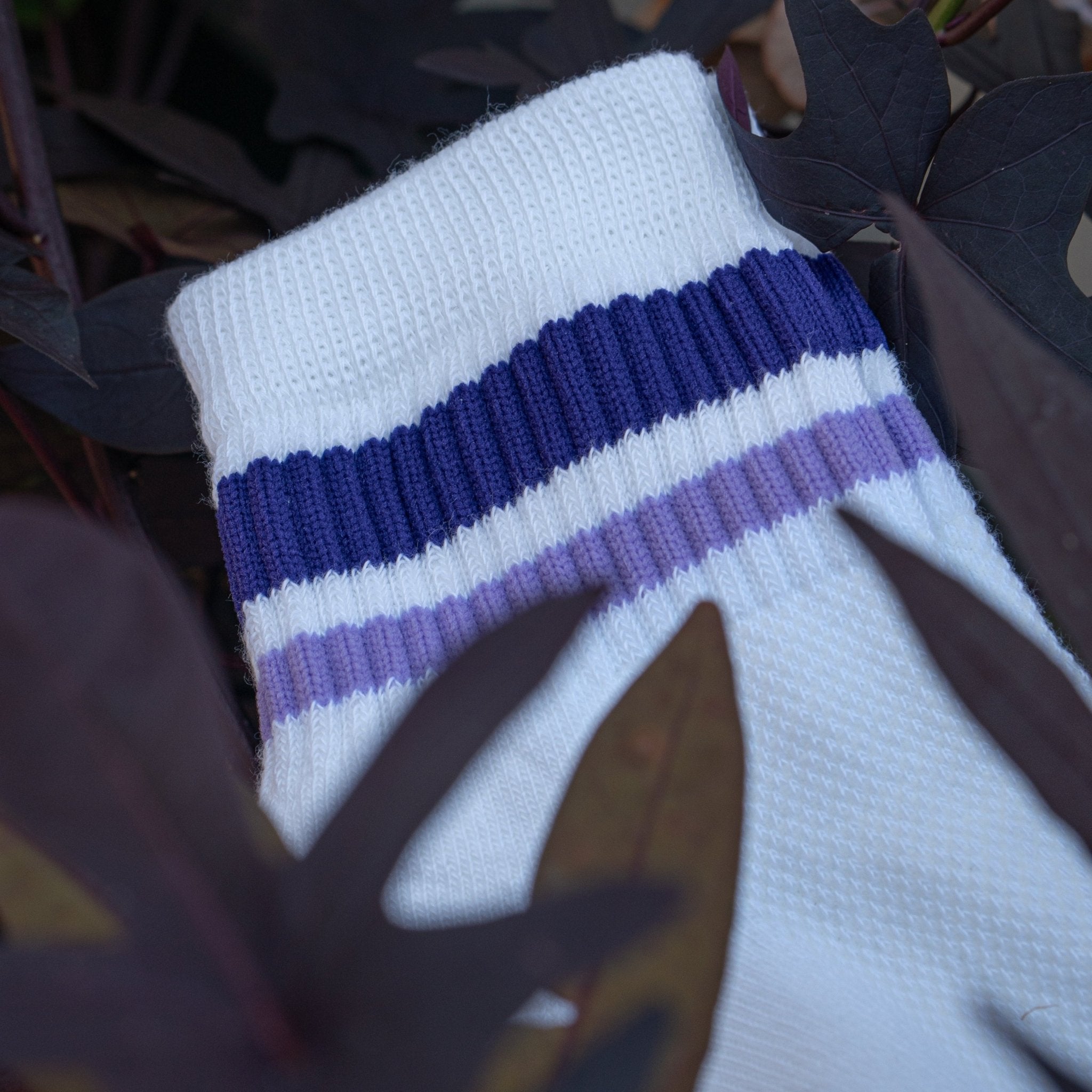 Purps - del campo