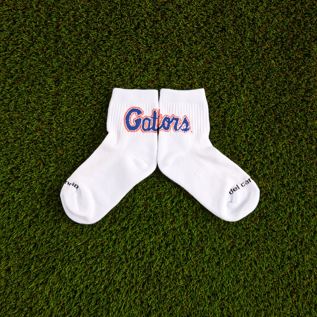 Florida Gators - Gators Script