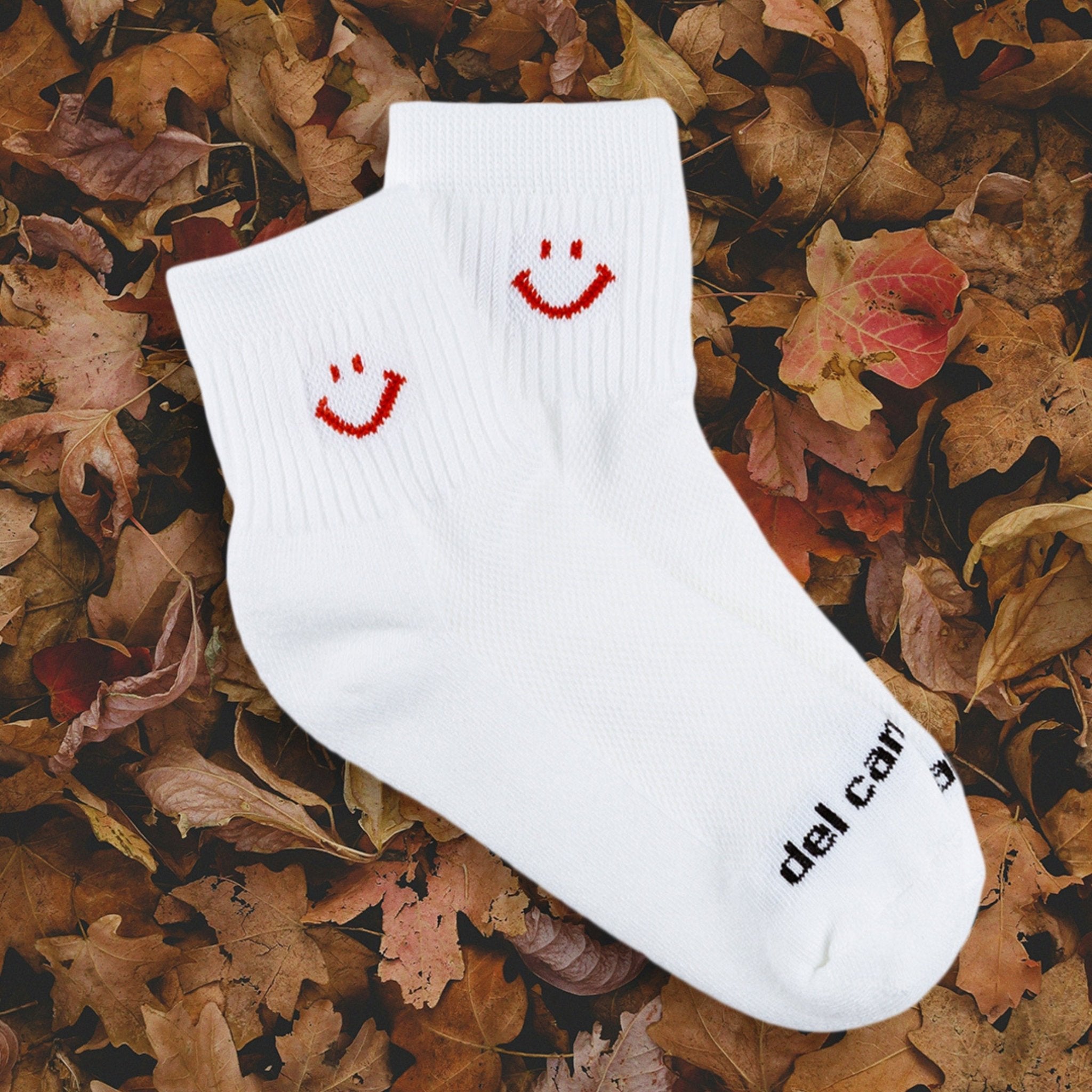 Rust Smiley - del campo