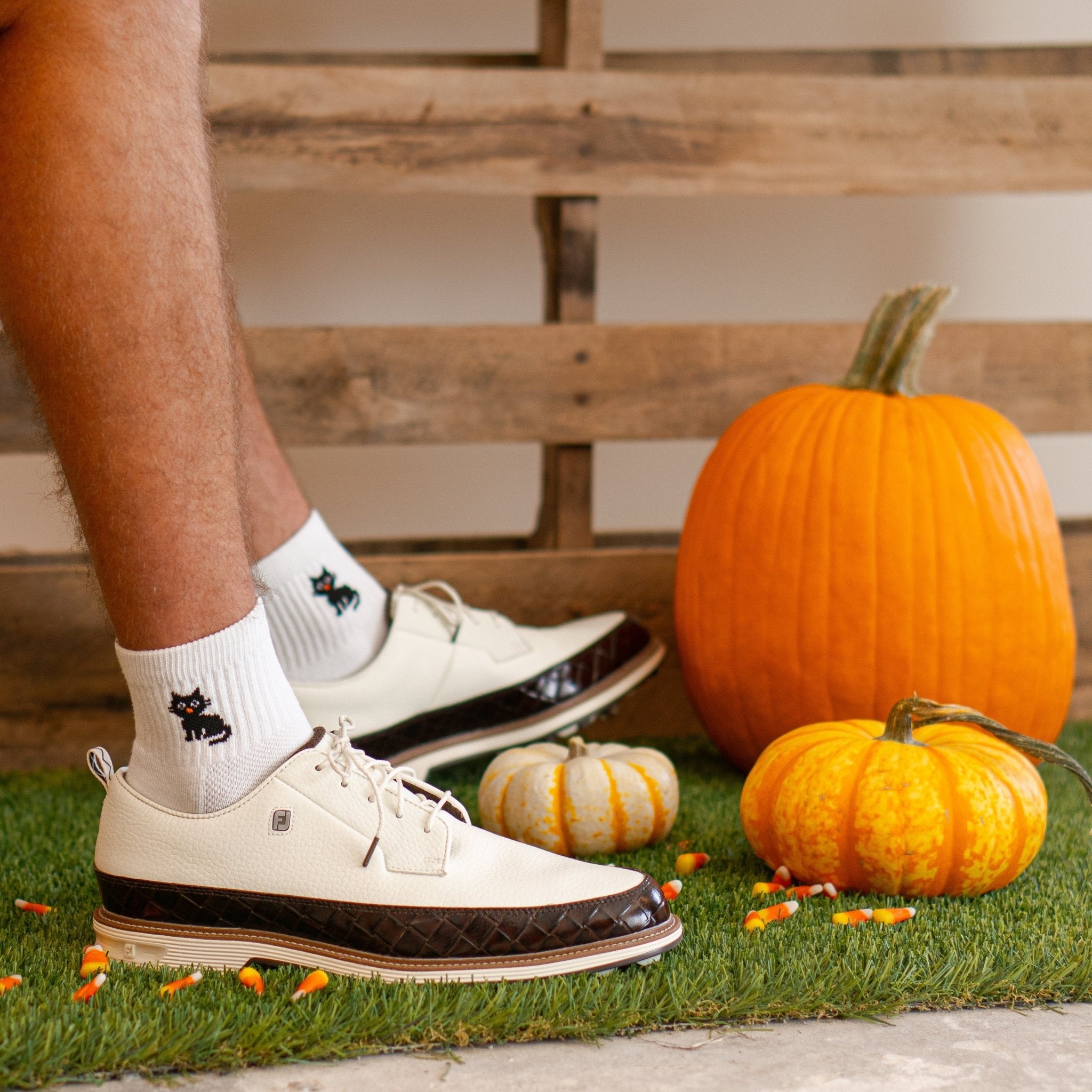 Halloween Cat - del campo