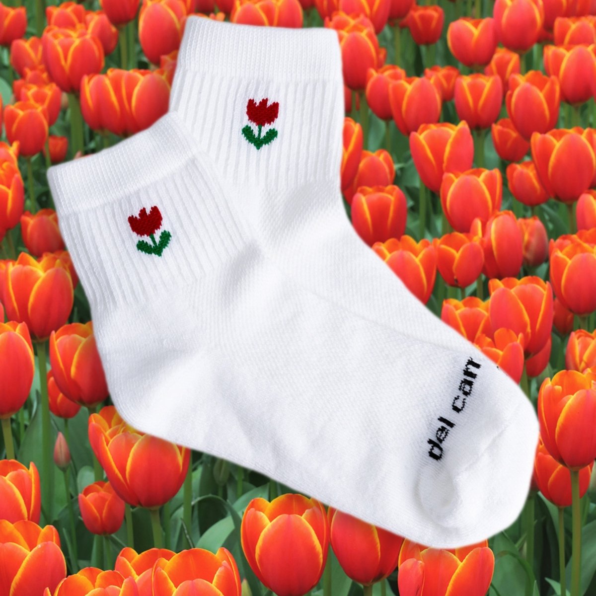 Tulips - del campo