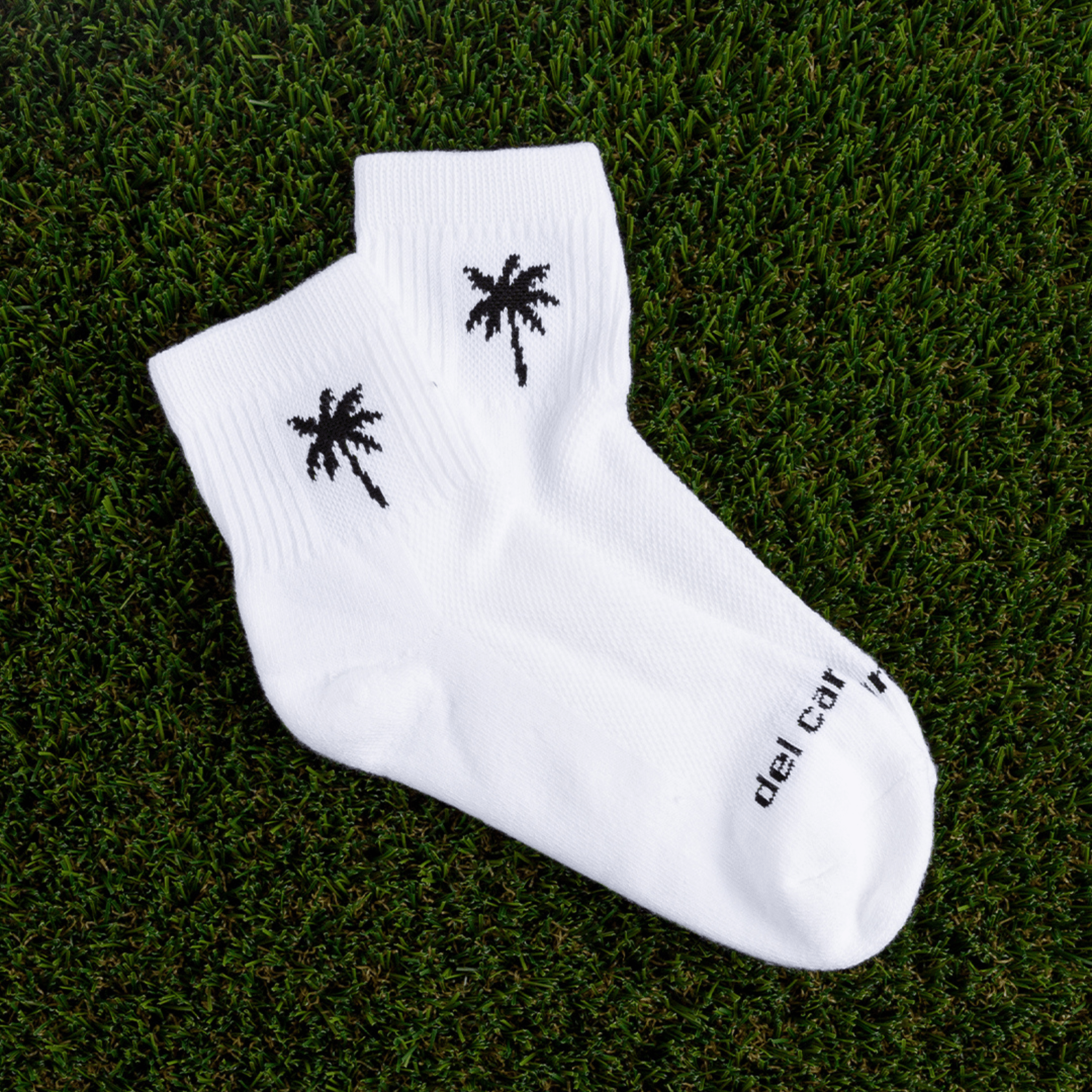Palms - del campo