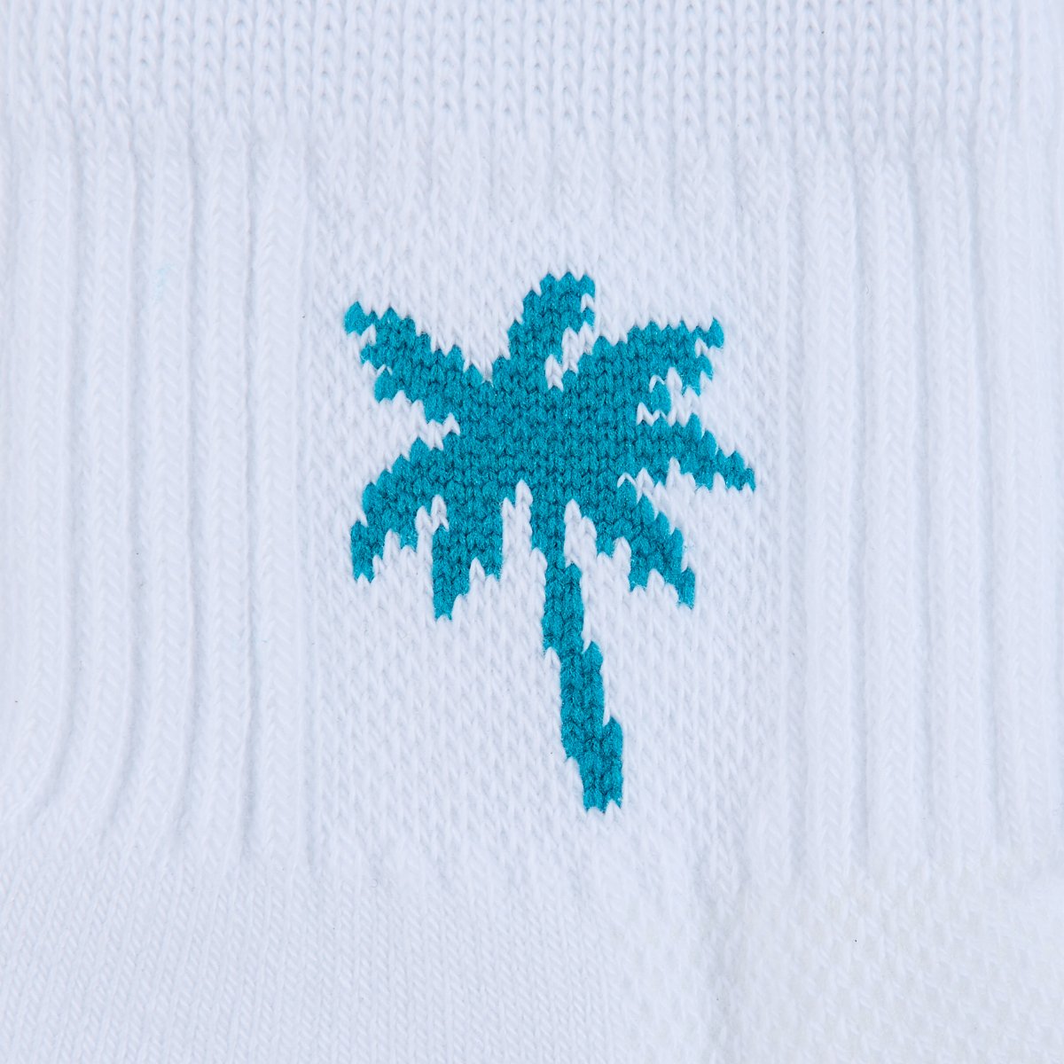 Teal Palms