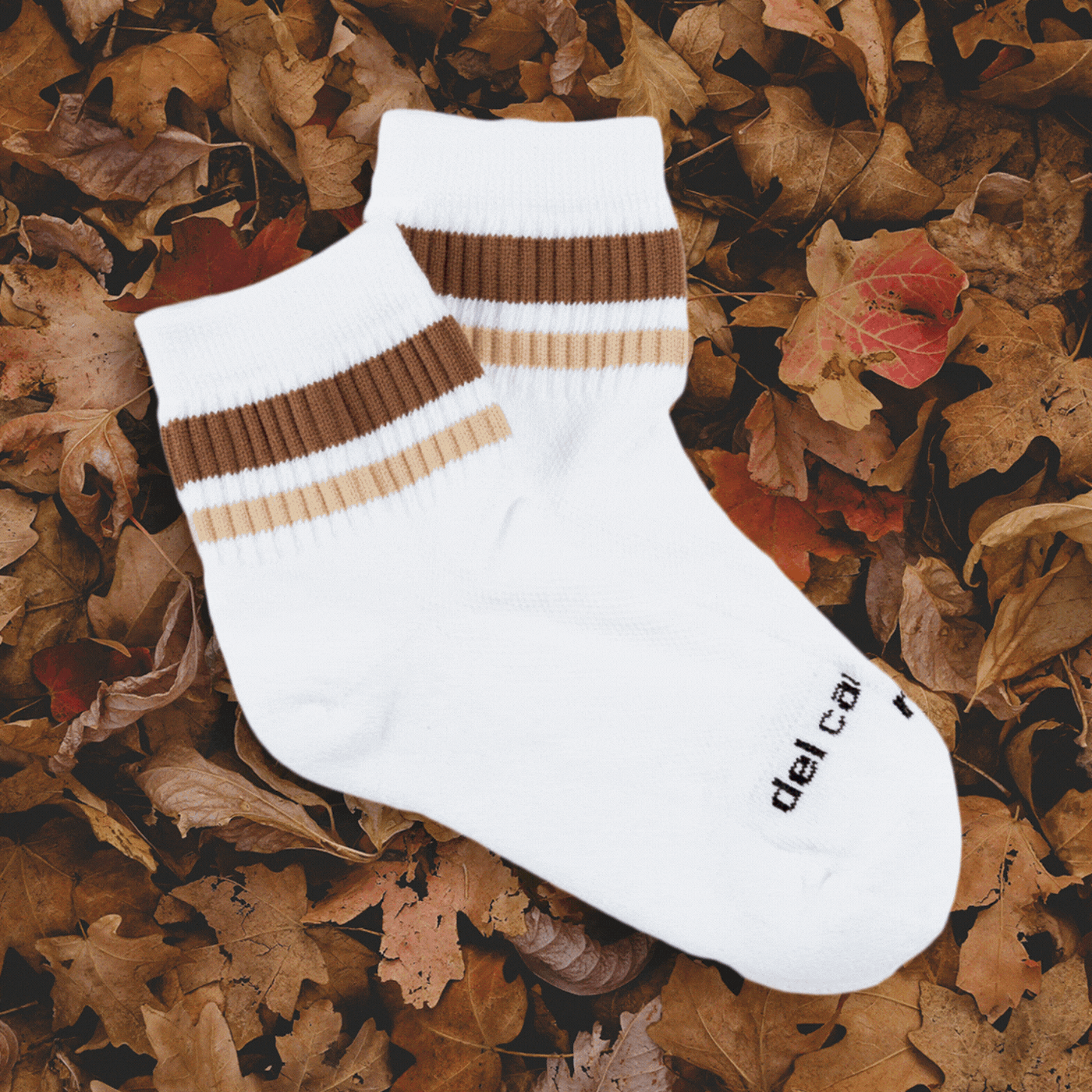 Fall Stripe Pack