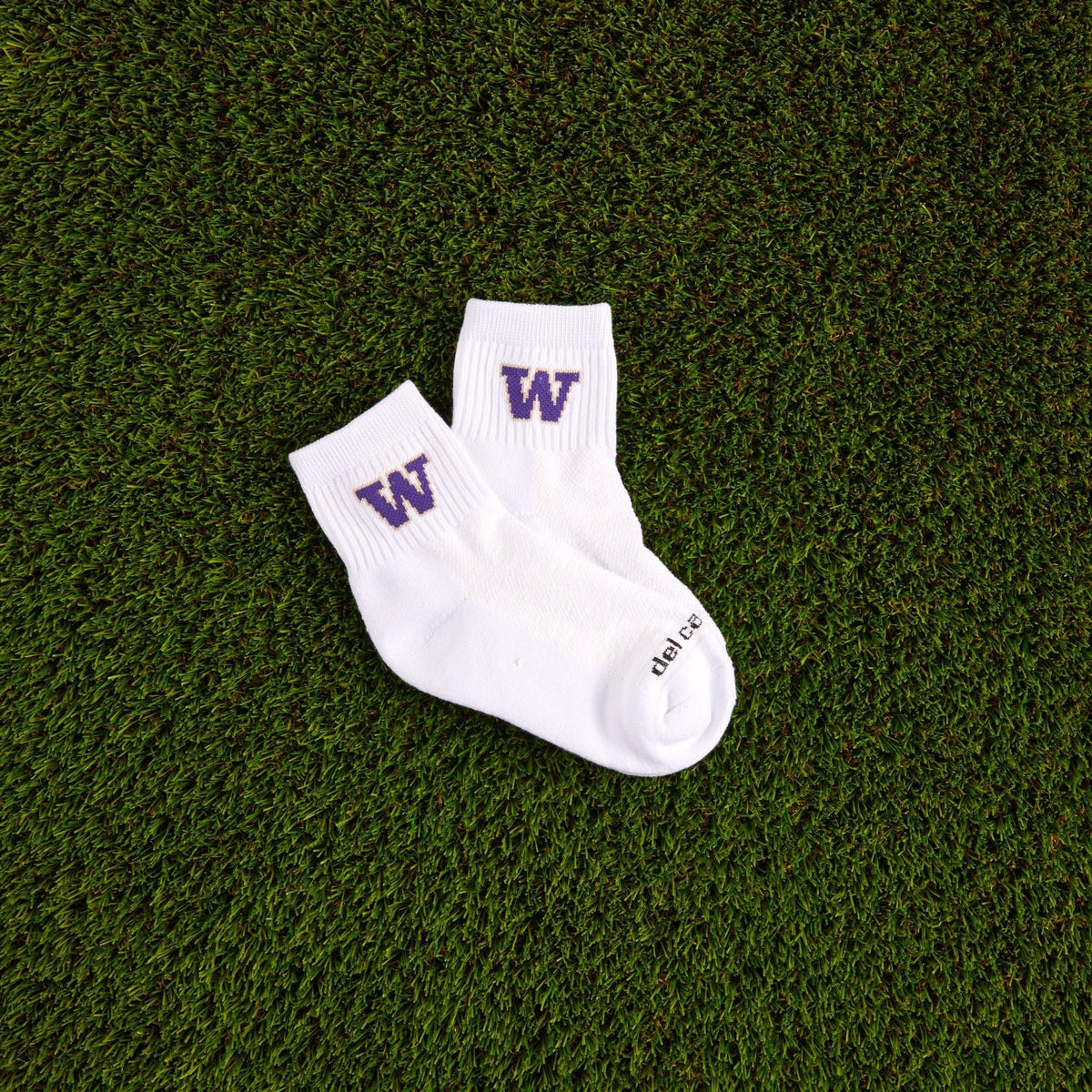 University of Washington Huskies Socks - del campo