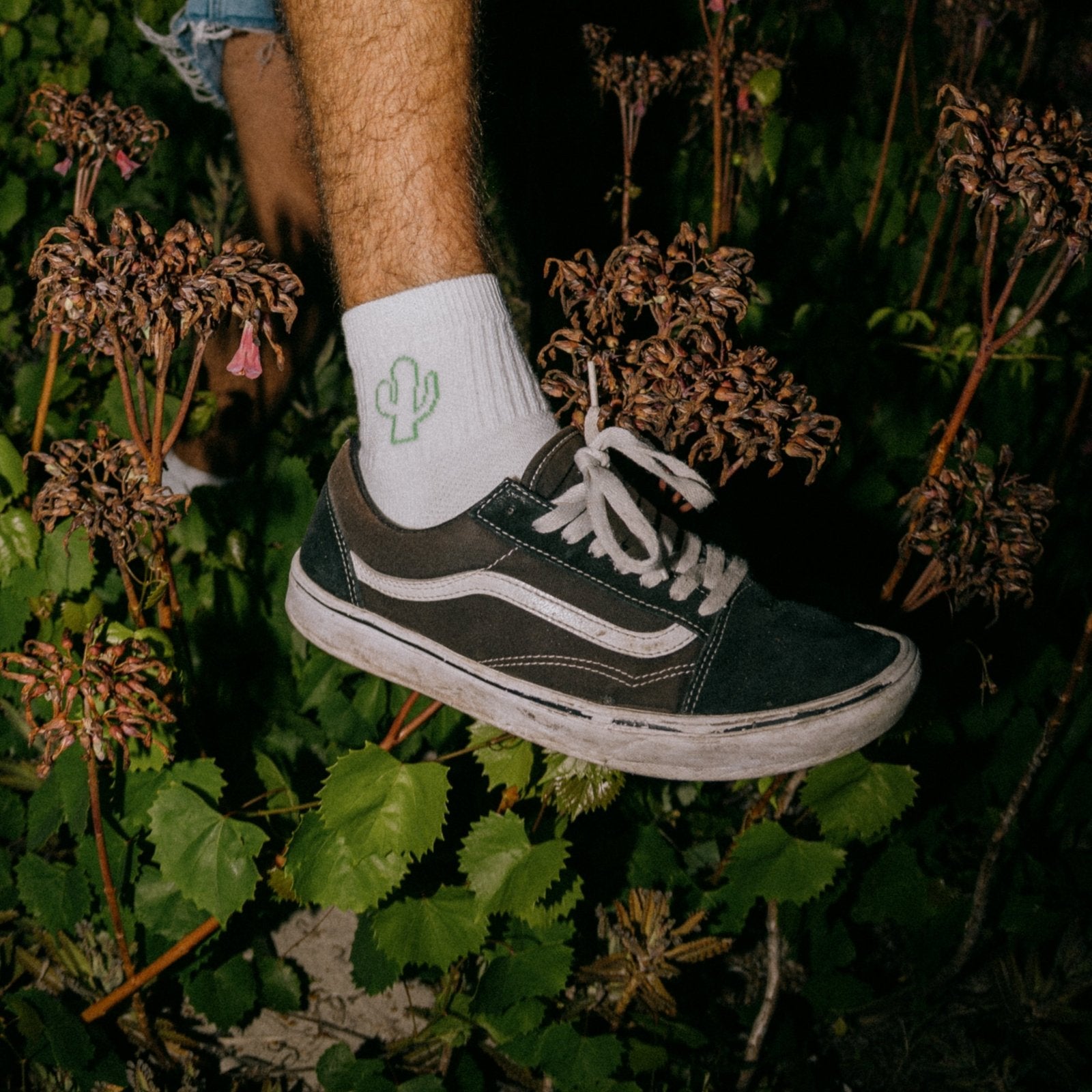 Cactus Boys - Green - del campo