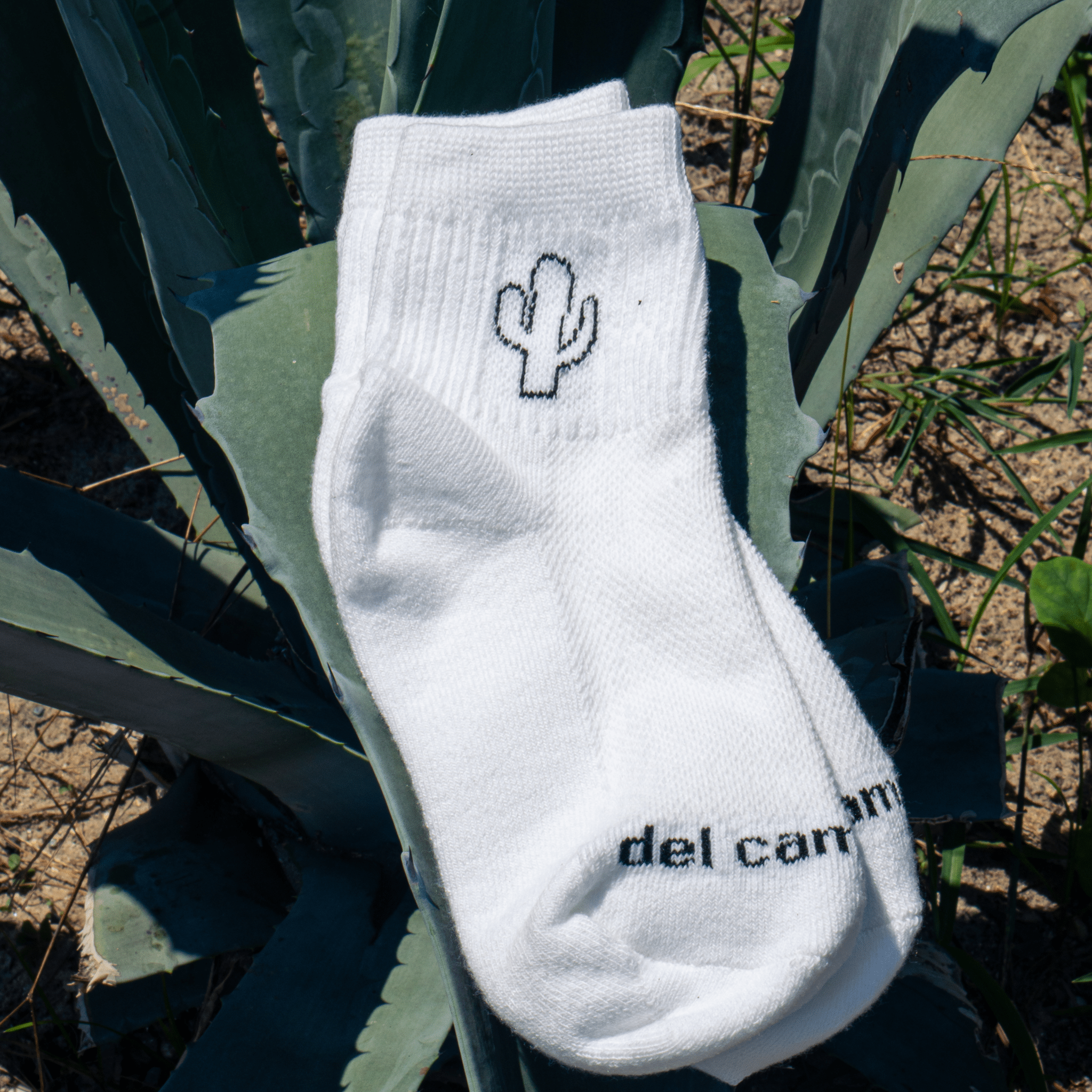 Cactus Boys - del campo