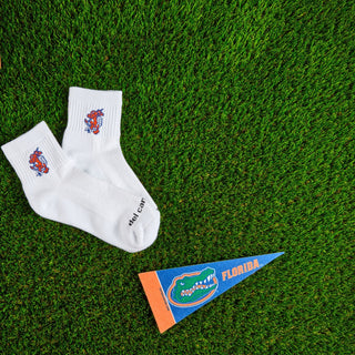 Florida Gators - Swinging Gator