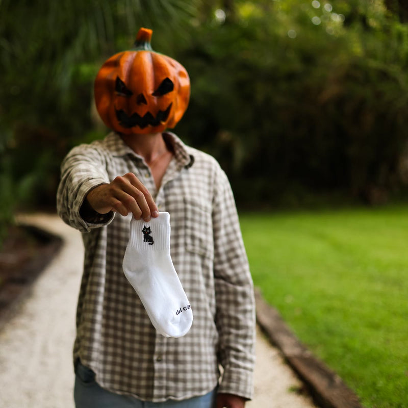 Pumpkin head holding out a Black Cat sock